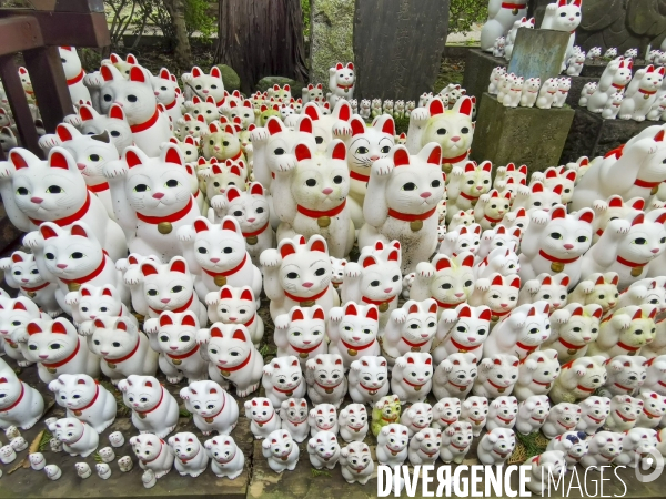 Gotokuji.le temple maneki neko a tokyo