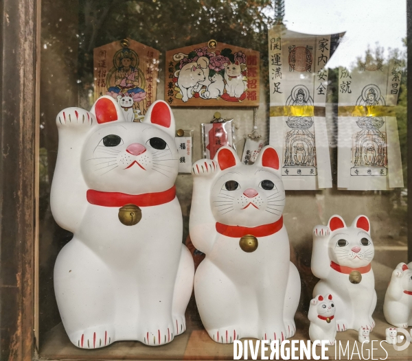 Gotokuji.le temple maneki neko a tokyo