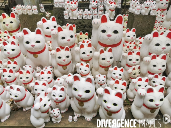 Gotokuji.le temple maneki neko a tokyo