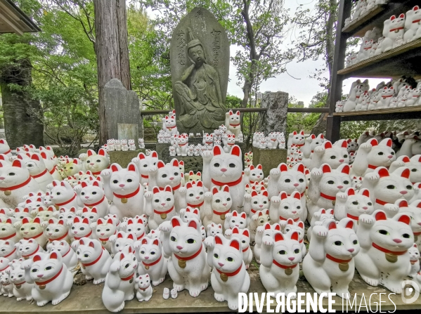 Gotokuji.le temple maneki neko a tokyo