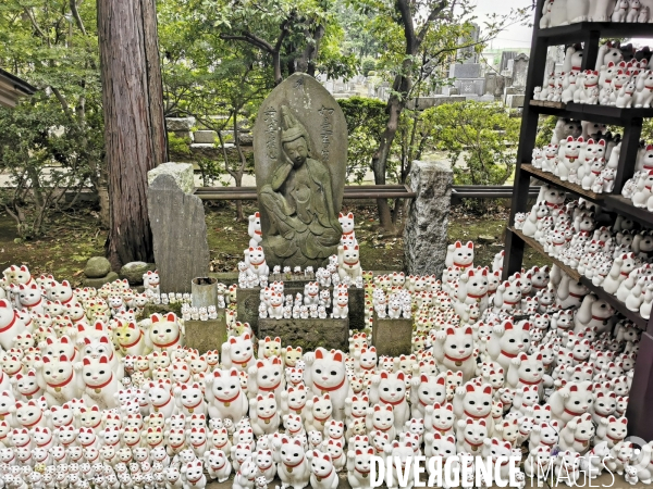 Gotokuji.le temple maneki neko a tokyo