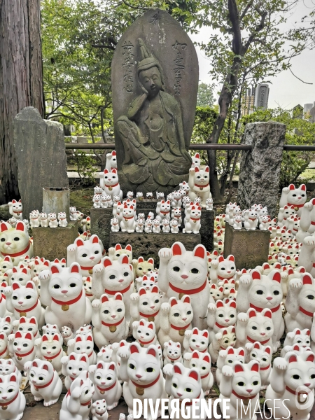 Gotokuji.le temple maneki neko a tokyo