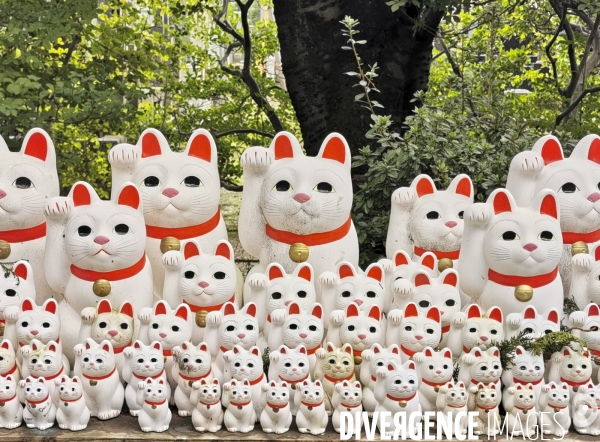 Gotokuji.le temple maneki neko a tokyo