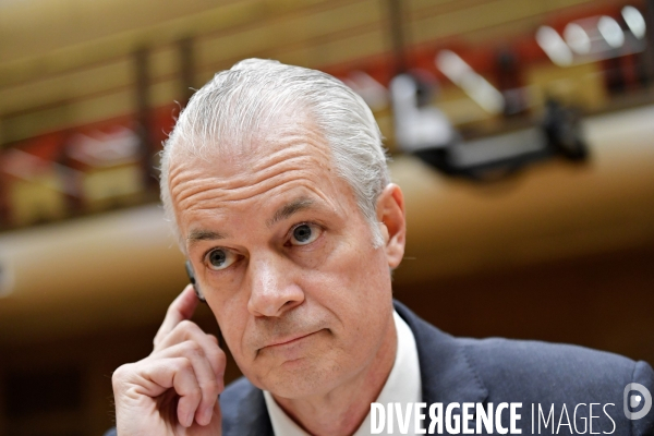 Audition de Eric Schnur au senat