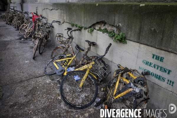 Trottinettes et vélos en libre service, victimes de l incivilité des usagers.