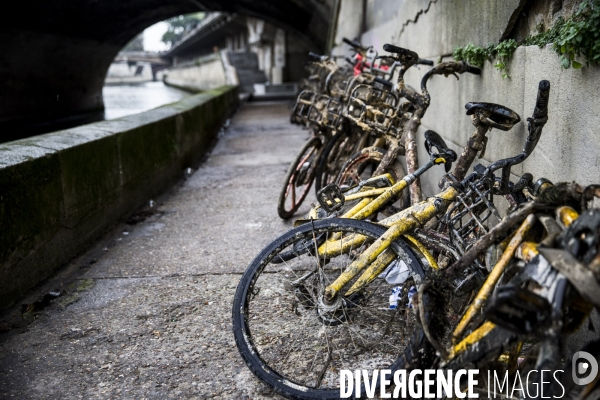 Trottinettes et vélos en libre service, victimes de l incivilité des usagers.