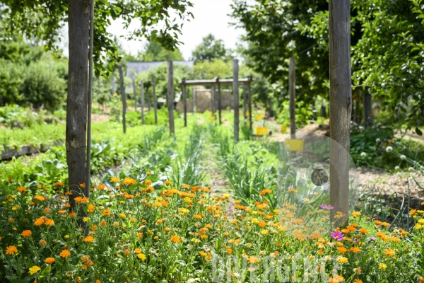 La ferme du Bec Helloin