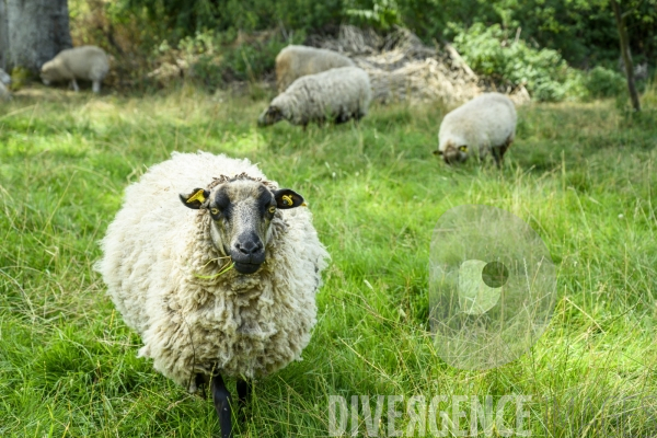 La ferme du Bec Helloin