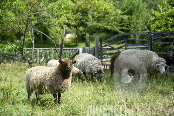 La ferme du Bec Helloin