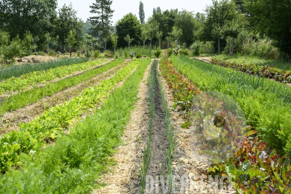 La ferme du Bec Helloin