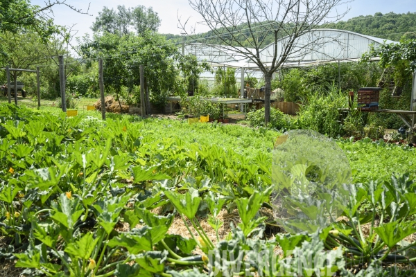 La ferme du Bec Helloin