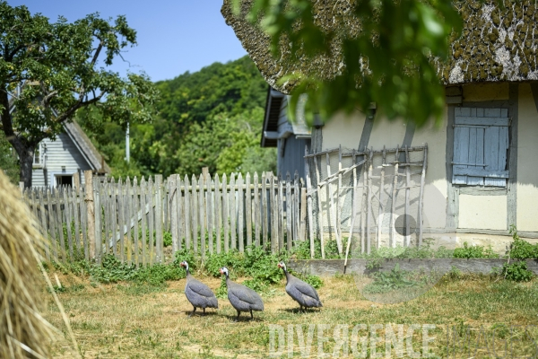 La ferme du Bec Helloin