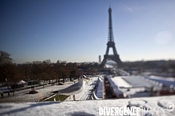 Paris sous la neige