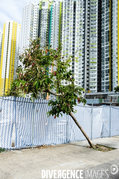 Sham Shui Po, Hong Kong - Illustration