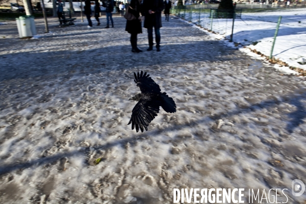 Paris sous la neige