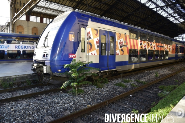 Végétation rebelle sur les voies ferrées, en gare. Vegetation in the rail system.