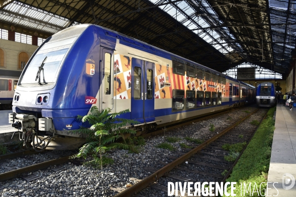 Végétation rebelle sur les voies ferrées, en gare. Vegetation in the rail system.