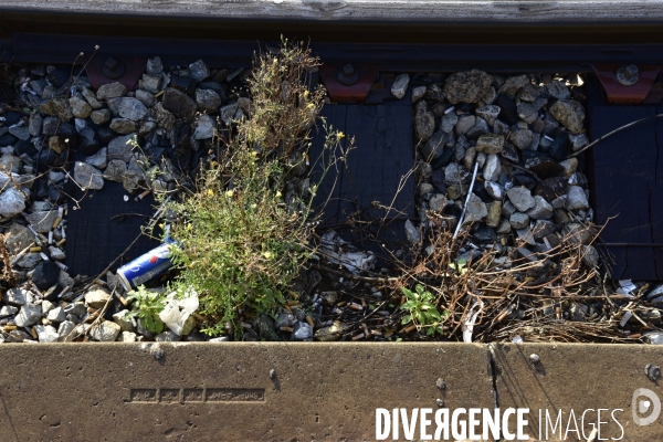 Végétation rebelle sur les voies ferrées, en gare. Vegetation in the rail system.