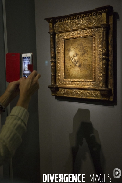 L exposition Léonard de VINCI au Musée du Louvre.