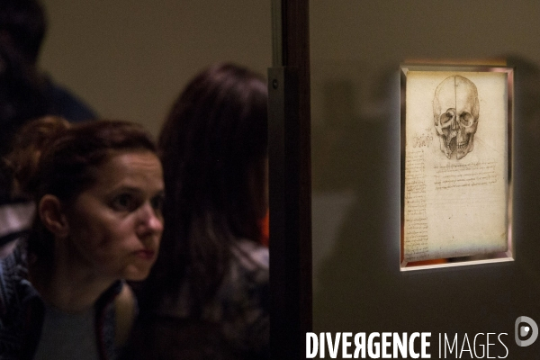 L exposition Léonard de VINCI au Musée du Louvre.