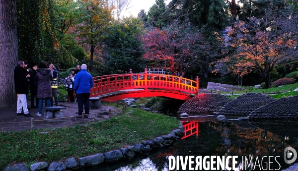 Réouverture du jardin Albert Kahn