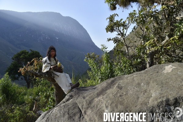 Les  Kogis,  Les gardiens de la Terre . iIs vivent dans la Sierra Nevada de Santa Marta qui représente à leurs yeux le centre du monde, la « Mère Terre »,  avec laquelle ils vivent en harmonie