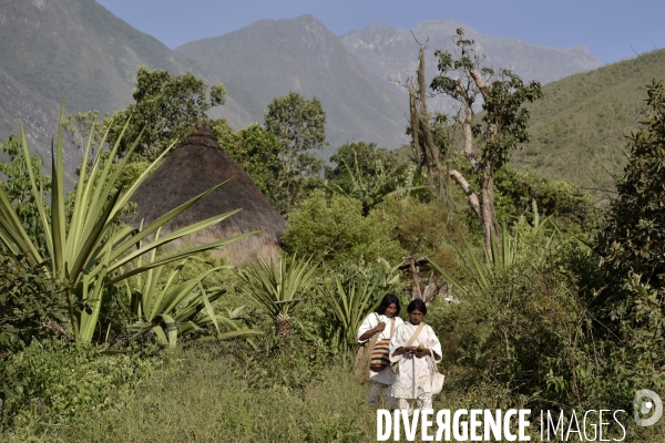 Les  Kogis,  Les gardiens de la Terre . iIs vivent dans la Sierra Nevada de Santa Marta qui représente à leurs yeux le centre du monde, la « Mère Terre »,  avec laquelle ils vivent en harmonie