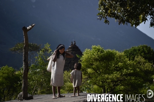Les  Kogis,  Les gardiens de la Terre . iIs vivent dans la Sierra Nevada de Santa Marta qui représente à leurs yeux le centre du monde, la « Mère Terre »,  avec laquelle ils vivent en harmonie