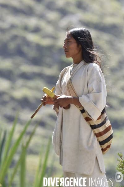 Les  Kogis,  Les gardiens de la Terre . iIs vivent dans la Sierra Nevada de Santa Marta qui représente à leurs yeux le centre du monde, la « Mère Terre »,  avec laquelle ils vivent en harmonie