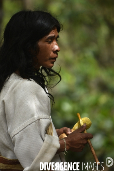 Les  Kogis,  Les gardiens de la Terre . iIs vivent dans la Sierra Nevada de Santa Marta qui représente à leurs yeux le centre du monde, la « Mère Terre »,  avec laquelle ils vivent en harmonie