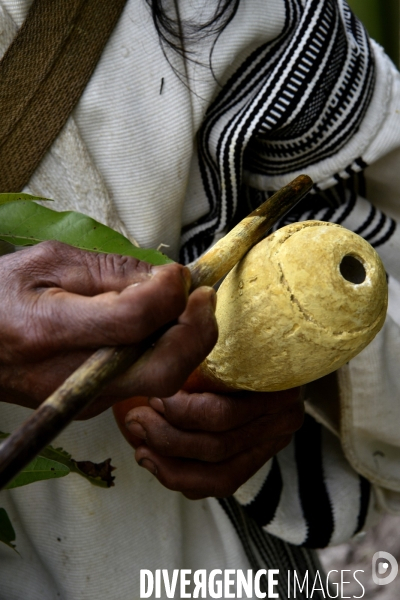 Les  Kogis,  Les gardiens de la Terre . iIs vivent dans la Sierra Nevada de Santa Marta qui représente à leurs yeux le centre du monde, la « Mère Terre »,  avec laquelle ils vivent en harmonie