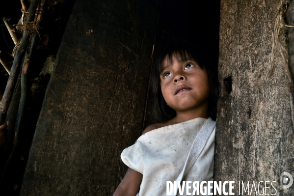 Les  Kogis,  Les gardiens de la Terre . iIs vivent dans la Sierra Nevada de Santa Marta qui représente à leurs yeux le centre du monde, la « Mère Terre »,  avec laquelle ils vivent en harmonie