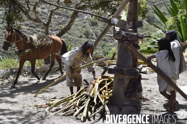 Les  Kogis,  Les gardiens de la Terre . iIs vivent dans la Sierra Nevada de Santa Marta qui représente à leurs yeux le centre du monde, la « Mère Terre »,  avec laquelle ils vivent en harmonie