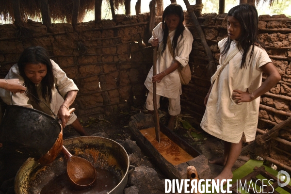 Les  Kogis,  Les gardiens de la Terre . iIs vivent dans la Sierra Nevada de Santa Marta qui représente à leurs yeux le centre du monde, la « Mère Terre »,  avec laquelle ils vivent en harmonie