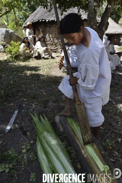Les  Kogis,  Les gardiens de la Terre . iIs vivent dans la Sierra Nevada de Santa Marta qui représente à leurs yeux le centre du monde, la « Mère Terre »,  avec laquelle ils vivent en harmonie