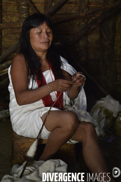 Les  Kogis,  Les gardiens de la Terre . iIs vivent dans la Sierra Nevada de Santa Marta qui représente à leurs yeux le centre du monde, la « Mère Terre »,  avec laquelle ils vivent en harmonie