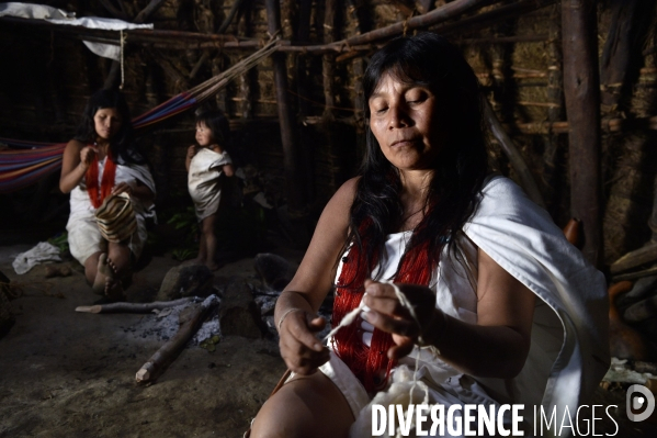 Les  Kogis,  Les gardiens de la Terre . iIs vivent dans la Sierra Nevada de Santa Marta qui représente à leurs yeux le centre du monde, la « Mère Terre »,  avec laquelle ils vivent en harmonie