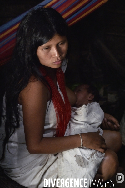 Les  Kogis,  Les gardiens de la Terre . iIs vivent dans la Sierra Nevada de Santa Marta qui représente à leurs yeux le centre du monde, la « Mère Terre »,  avec laquelle ils vivent en harmonie