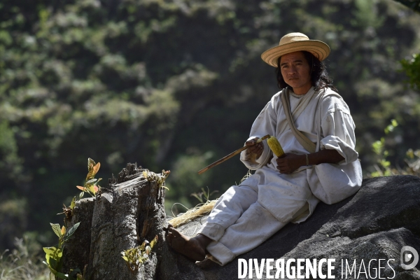 Les  Kogis,  Les gardiens de la Terre . iIs vivent dans la Sierra Nevada de Santa Marta qui représente à leurs yeux le centre du monde, la « Mère Terre »,  avec laquelle ils vivent en harmonie