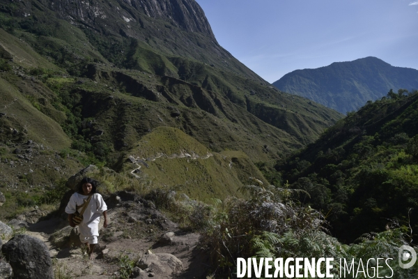 Les  Kogis,  Les gardiens de la Terre . iIs vivent dans la Sierra Nevada de Santa Marta qui représente à leurs yeux le centre du monde, la « Mère Terre »,  avec laquelle ils vivent en harmonie