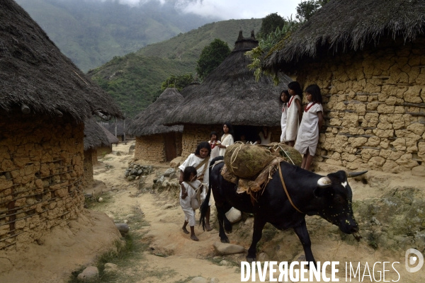 Les  Kogis,  Les gardiens de la Terre . iIs vivent dans la Sierra Nevada de Santa Marta qui représente à leurs yeux le centre du monde, la « Mère Terre »,  avec laquelle ils vivent en harmonie