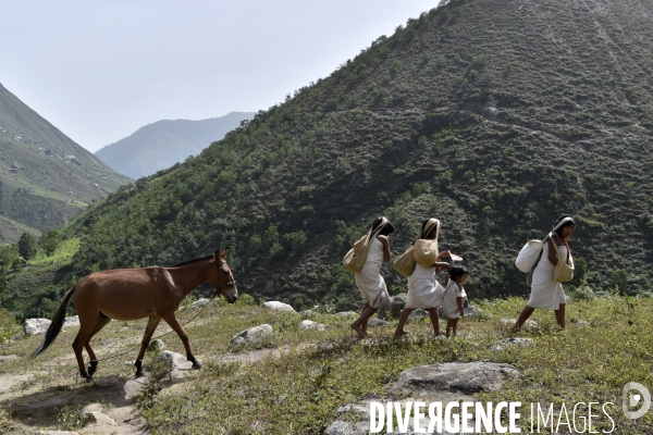 Les  Kogis,  Les gardiens de la Terre . iIs vivent dans la Sierra Nevada de Santa Marta qui représente à leurs yeux le centre du monde, la « Mère Terre »,  avec laquelle ils vivent en harmonie