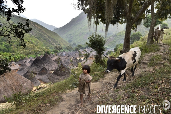 Les  Kogis,  Les gardiens de la Terre . iIs vivent dans la Sierra Nevada de Santa Marta qui représente à leurs yeux le centre du monde, la « Mère Terre »,  avec laquelle ils vivent en harmonie
