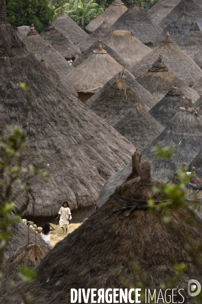 Les  Kogis,  Les gardiens de la Terre . iIs vivent dans la Sierra Nevada de Santa Marta qui représente à leurs yeux le centre du monde, la « Mère Terre »,  avec laquelle ils vivent en harmonie