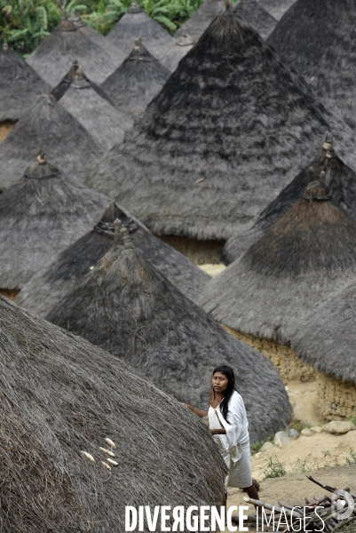 Les  Kogis,  Les gardiens de la Terre . iIs vivent dans la Sierra Nevada de Santa Marta qui représente à leurs yeux le centre du monde, la « Mère Terre »,  avec laquelle ils vivent en harmonie