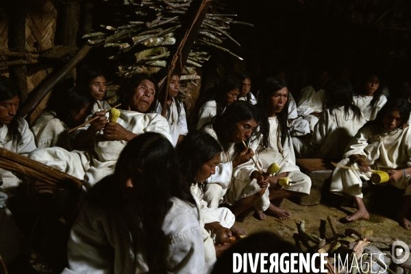 Les  Kogis,  Les gardiens de la Terre . iIs vivent dans la Sierra Nevada de Santa Marta qui représente à leurs yeux le centre du monde, la « Mère Terre »,  avec laquelle ils vivent en harmonie