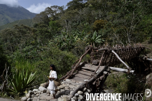 Les  Kogis,  Les gardiens de la Terre . iIs vivent dans la Sierra Nevada de Santa Marta qui représente à leurs yeux le centre du monde, la « Mère Terre »,  avec laquelle ils vivent en harmonie