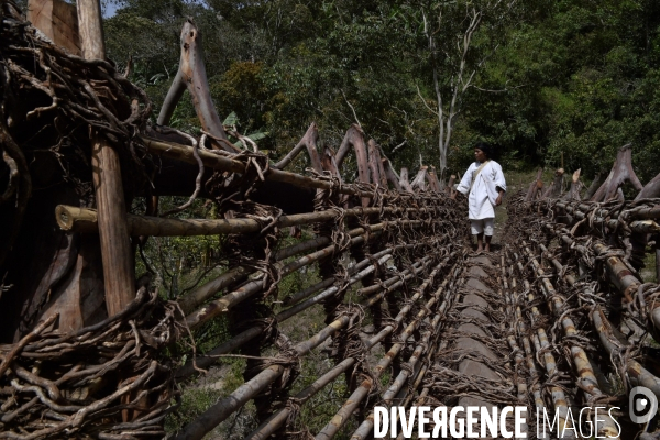 Les  Kogis,  Les gardiens de la Terre . iIs vivent dans la Sierra Nevada de Santa Marta qui représente à leurs yeux le centre du monde, la « Mère Terre »,  avec laquelle ils vivent en harmonie