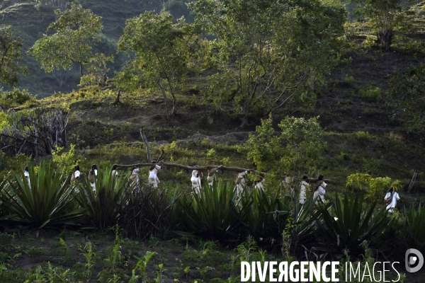 Les  Kogis,  Les gardiens de la Terre . iIs vivent dans la Sierra Nevada de Santa Marta qui représente à leurs yeux le centre du monde, la « Mère Terre »,  avec laquelle ils vivent en harmonie
