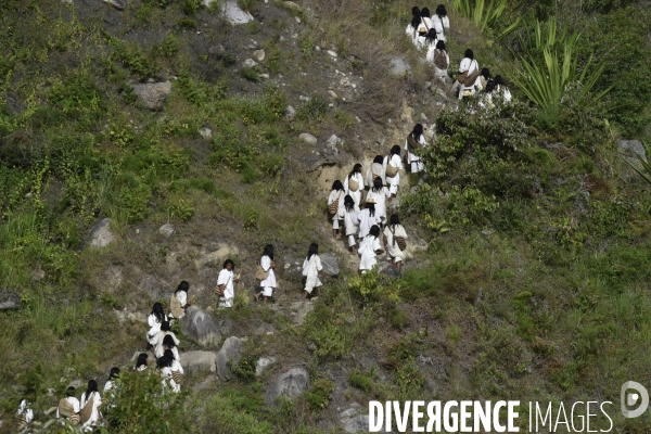Les  Kogis,  Les gardiens de la Terre . iIs vivent dans la Sierra Nevada de Santa Marta qui représente à leurs yeux le centre du monde, la « Mère Terre »,  avec laquelle ils vivent en harmonie